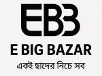 E big bazar logo